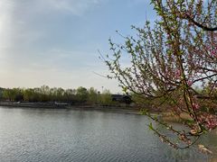 -永定河休闲森林公园