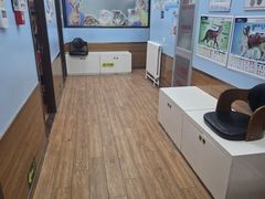 -瑞派·关忠动物医院·异宠专科·犬猫肿瘤·皮肤专科(望京店)