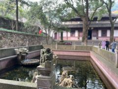 -宁波市保国寺古建筑博物馆