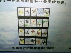 -上海昆虫博物馆