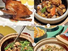 -大鸽饭(马王堆店)