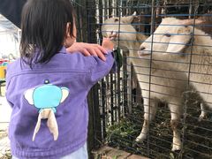 -小鱼草莓采摘园农家乐·小鱼餐厅
