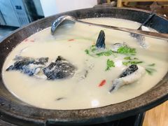 -全乐鱼馆·淳牌有机鱼直营店