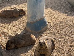 -泉州海丝野生动物世界