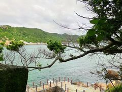 -东澳岛