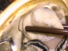 -斯普汇生蚝牛排馆(中骏世界城店)