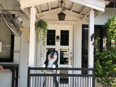 -TrueLove @ Neverland (Husky Cafe)