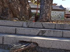 -妙峰山风景名胜区