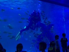-常州海昌海洋探索馆