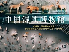 -中国湿地博物馆