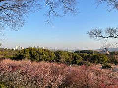 -无锡梅园公园