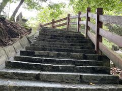 -广州白江湖森林公园