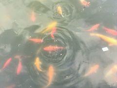 -大光明嘉盛影院