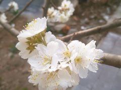 -双新垂钓园