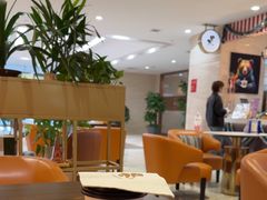 -NOVAE CAFE 咖啡·可颂(望京店)