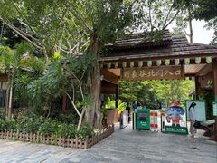 -野象谷景区