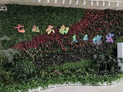 -德宏芒市国际机场