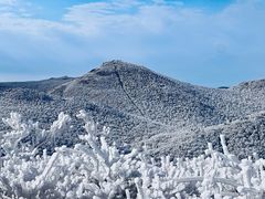 -安吉龙王山风景区