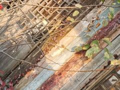 -美味之家·湖景农家乐(太湖东山店)
