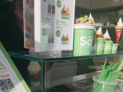 -Salud撒露欧洲冻酸奶(蓝色港湾店)