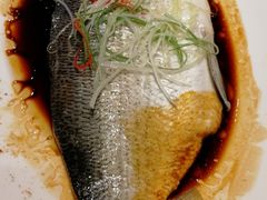 赛里木湖高白鲑-巴扎美食·新疆菜·西域歌舞表演餐厅(新疆大厦店)