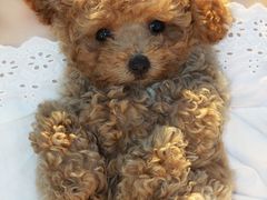 -青岛第三海水浴场