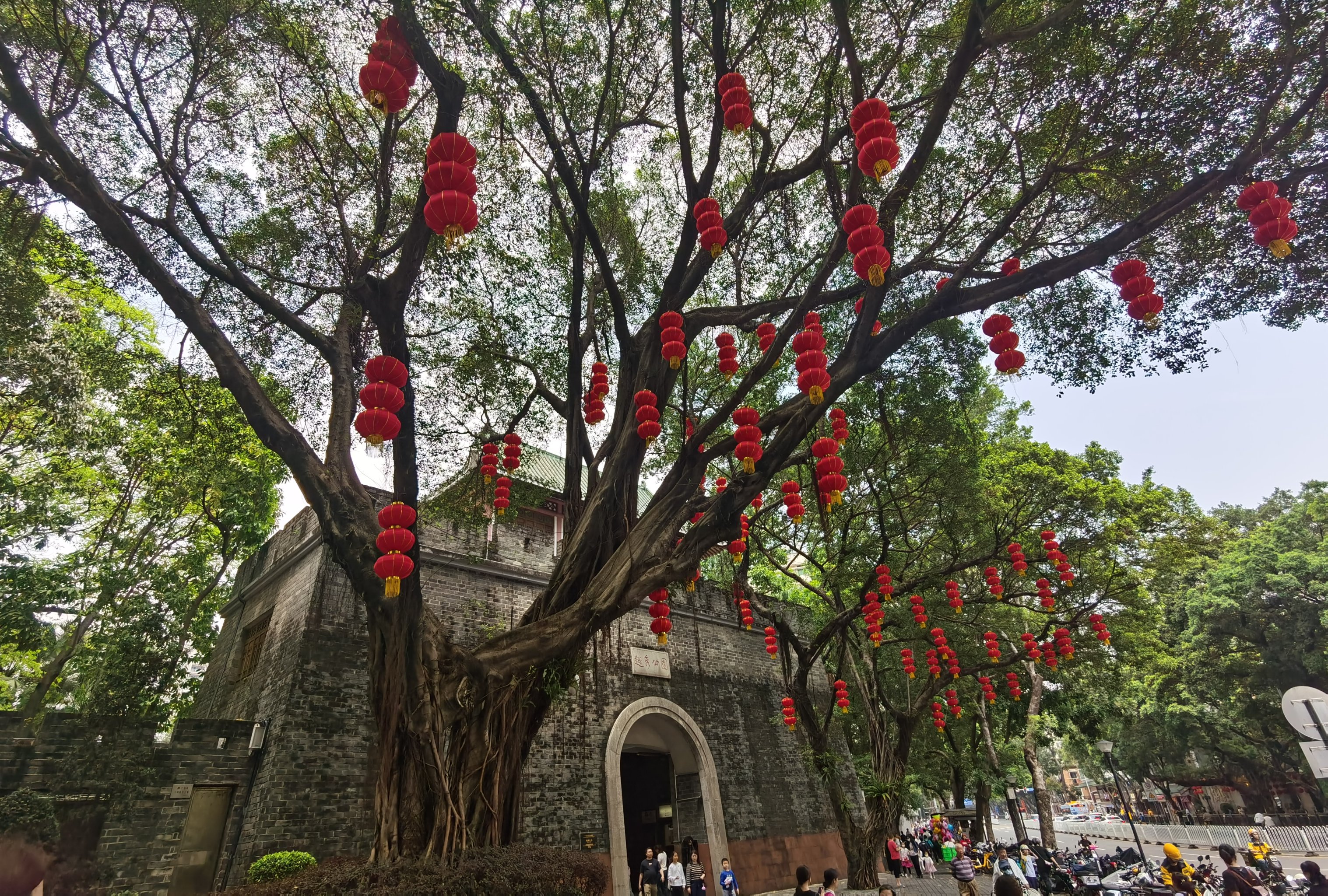 广州必打卡景点之越秀公园