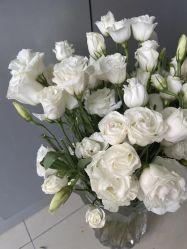 -Sunny喜铺婚礼定制·求婚策划