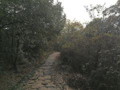 -杭州半山国家森林公园