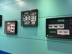 -上海昆虫博物馆