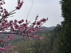 -九华山风景区月身宝殿