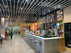 -天行健身＆天行拳馆跆拳道·格斗TXGYM