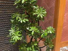 -花和海鲜自助(梅江店)