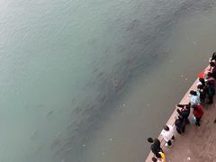 -中国宜宾·长江地标广场