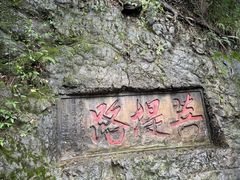 -黔灵山公园