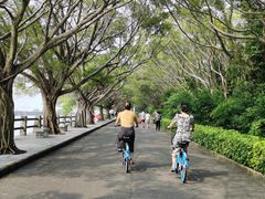 -大湾区中央湿地公园