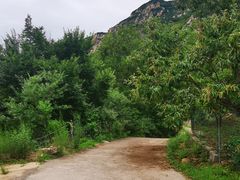 -北京密云天门山风景区