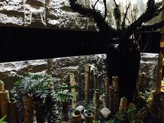 -纽斯桑拿会所(天山店)