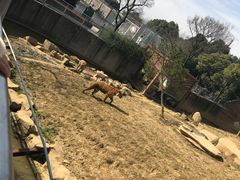 -无锡动物园·太湖欢乐园