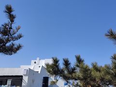 -养马岛旅游度假区