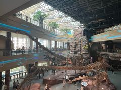 -安徽省地质博物馆