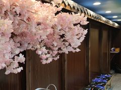 -白兔子密室(长寿路店)