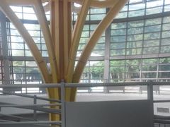 -华中师范大学-图书馆