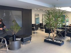 点击看大图 -付军剪艺JF ProSalon