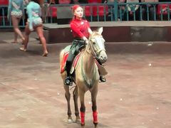 -俄罗斯国家大马戏团