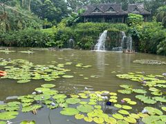 -中国科学院西双版纳热带植物园