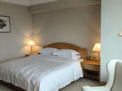 -南京维景国际大酒店(南京博物院店)