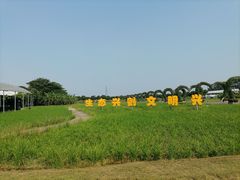 -迪茵湖田家舍生态农场