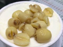 -义顺牛奶公司(新马路老店)