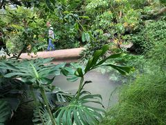 -南通洲际绿博园